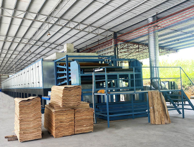 Conveyor Veneer Dryer